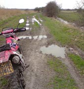 Trail Riding